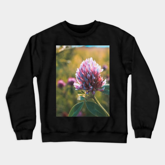 Petals in Sunlight Capture Red Clover's Elegance V2 Crewneck Sweatshirt by Family journey with God